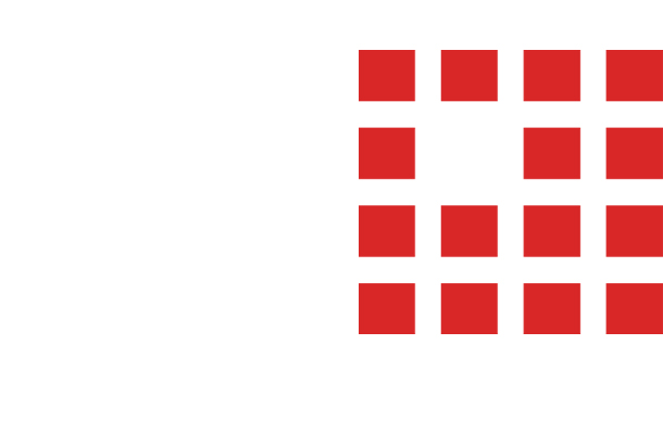 business analyst elegance