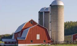 Heritage Bank finances all types of agriculture.