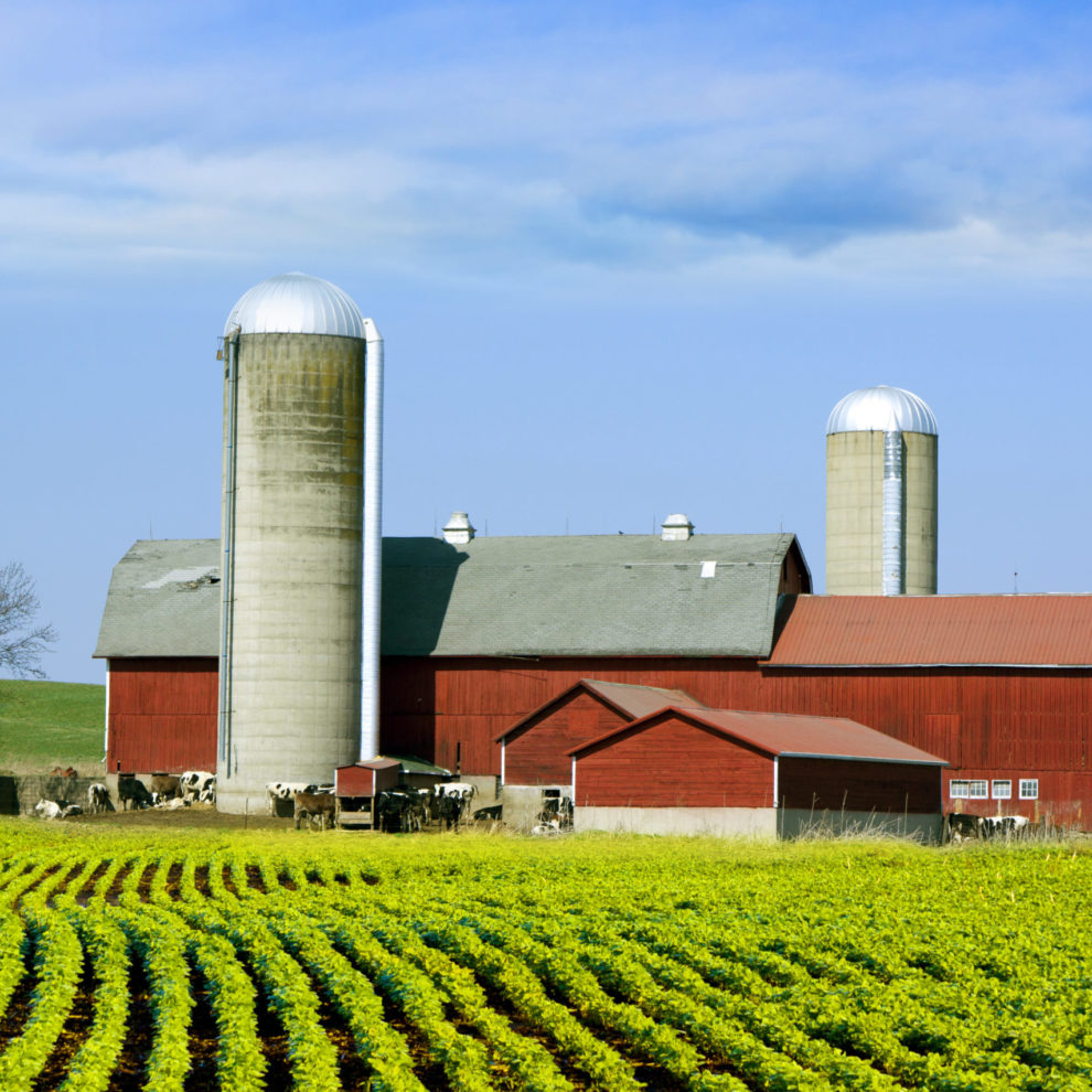 American Farm farming