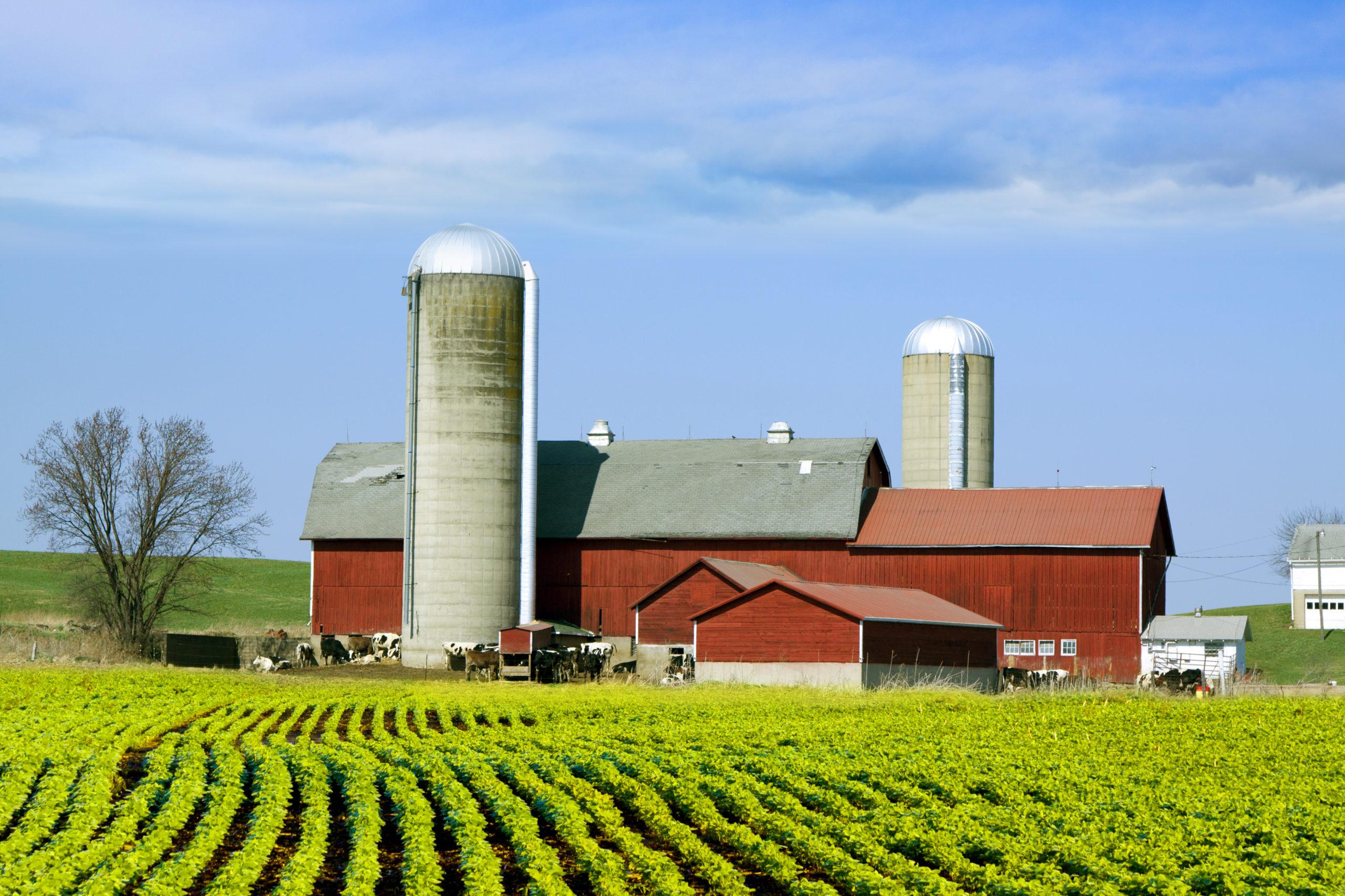 farming