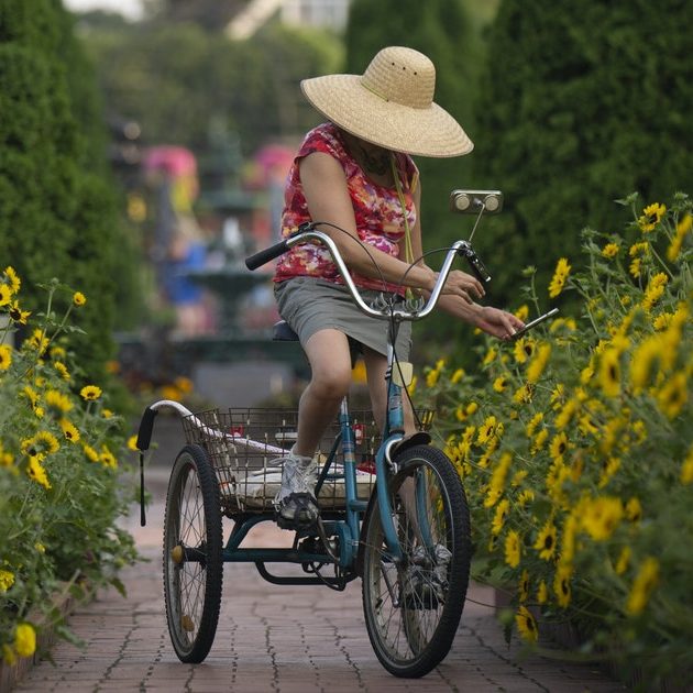 St. Cloud’s riverside gardens are a ‘crown jewel’ of central Minnesota — and they’re open to all