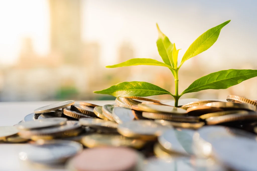 money and leaves